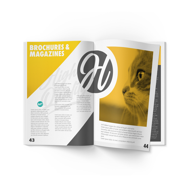 Brochures & magazines