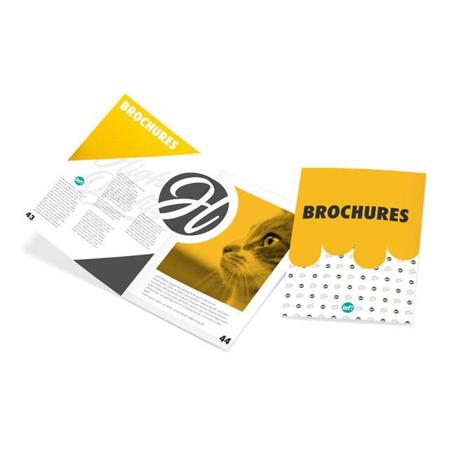 Brochures