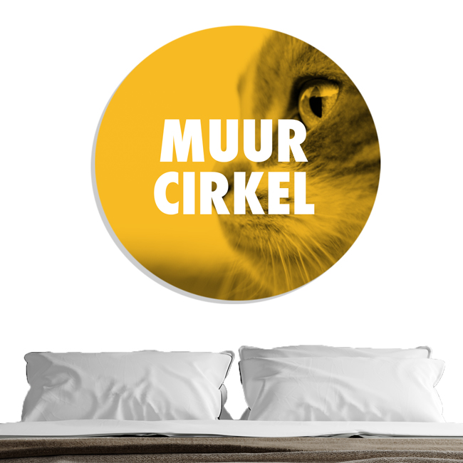 Muurcirkel