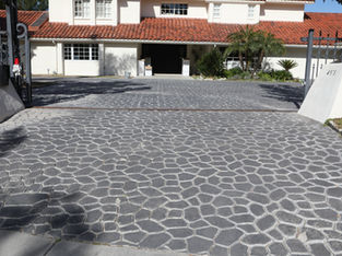 Stamped Color Stone Driveway San Diego