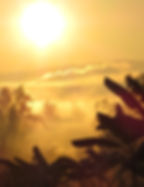 Image of a beautiful sky in golden hour with nature below it