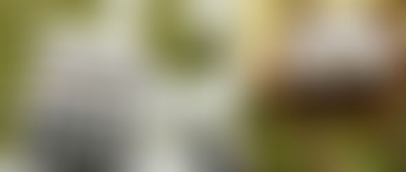 A calculator displaying "PENSION," financial charts, and a magnifying glass highlighting "BUDGET STABILIZING ACCOUNT" over California State Assembly chamber.