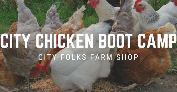 City Chicken Boot Camp