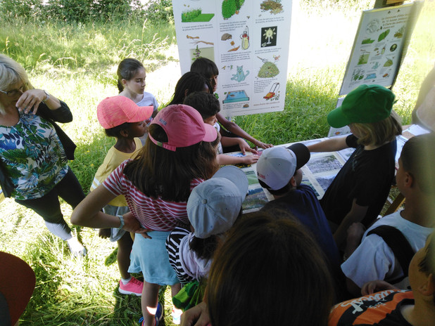 atelier prairie fleurie.jpg
