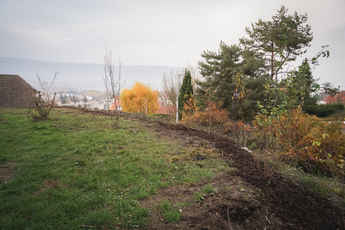Yverdon 6