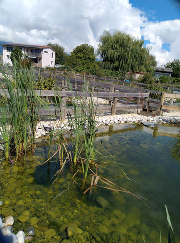 plan d'eau 3
