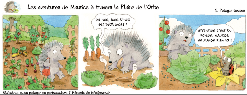 planche 3_9.PNG