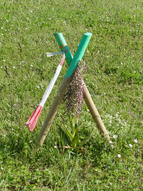 Orchis à odeur de bouc 5