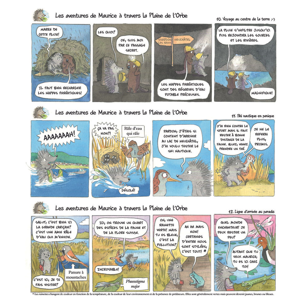 T2_planches10a12.jpg