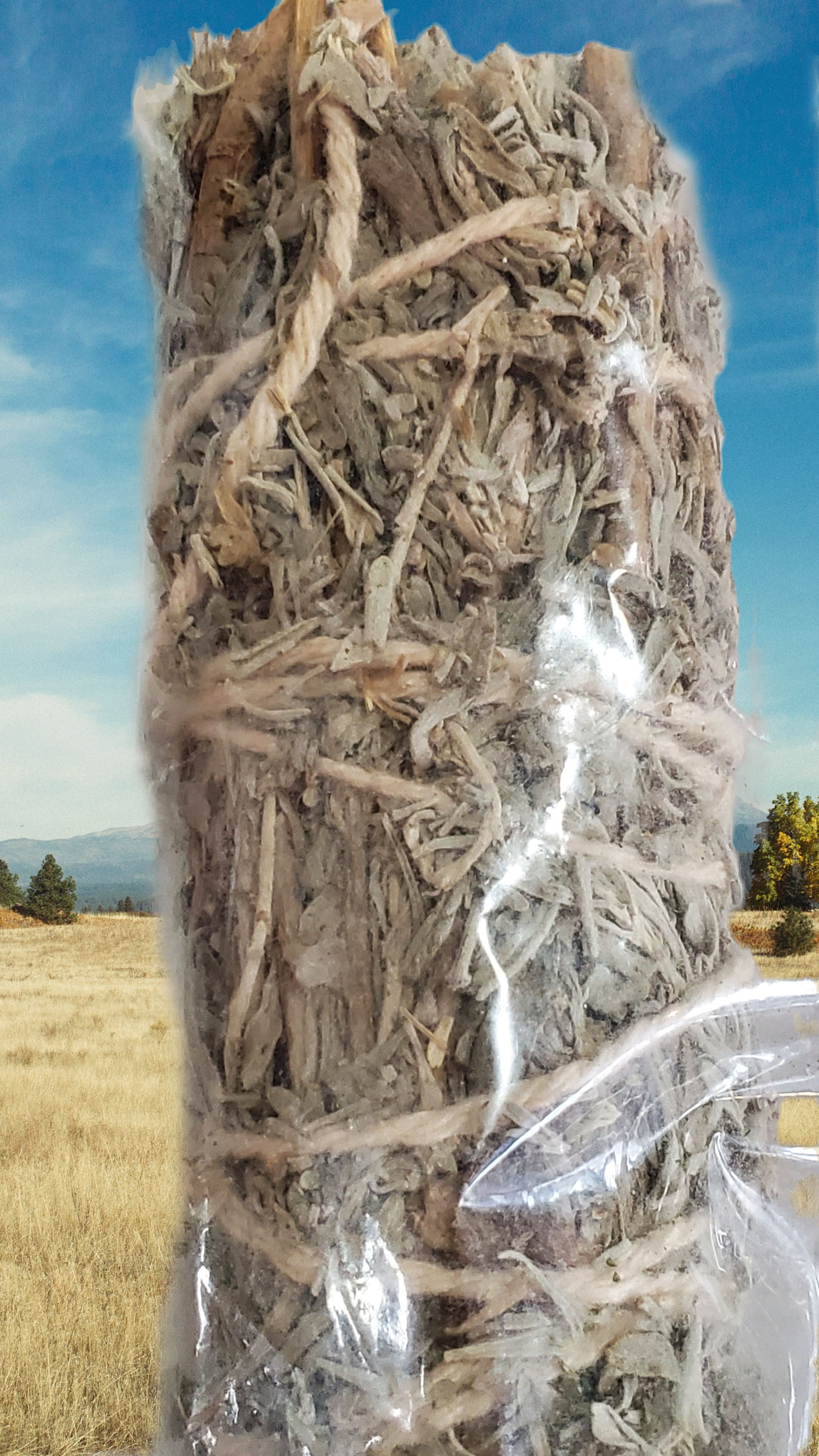 Prosperity Smudge Stick 3"