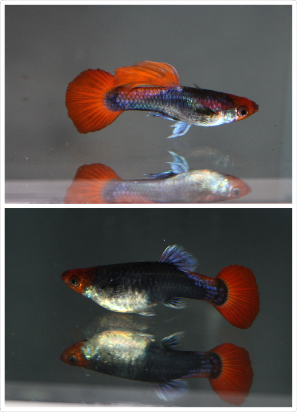 微信图片_20200309200707