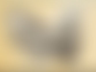 Chouette année 2018