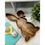 Thumbnail: Bunny Shaped Wood Tray