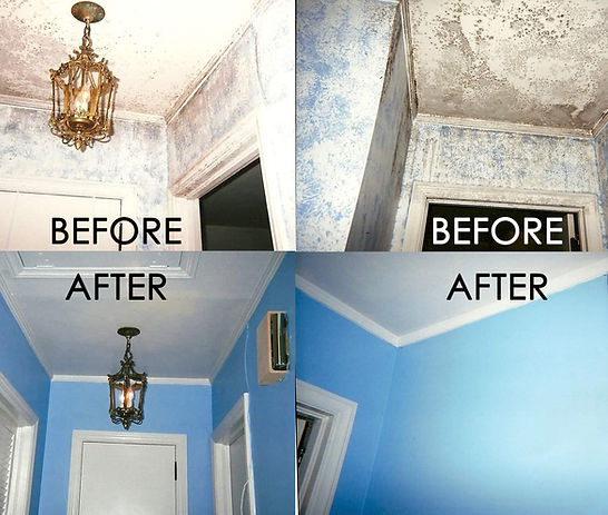 BeforeAndAfters_GibbsArtboard 8.jpg