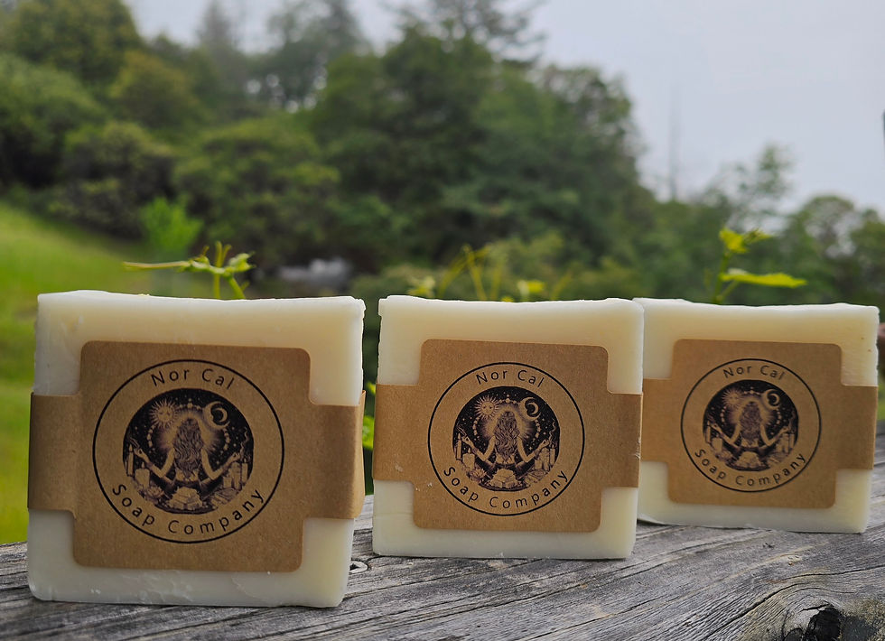 Thumbnail: Citrus & Eucalyptus Tallow Bar