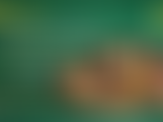 The Essence of Canadian Health & Culinary Excellence