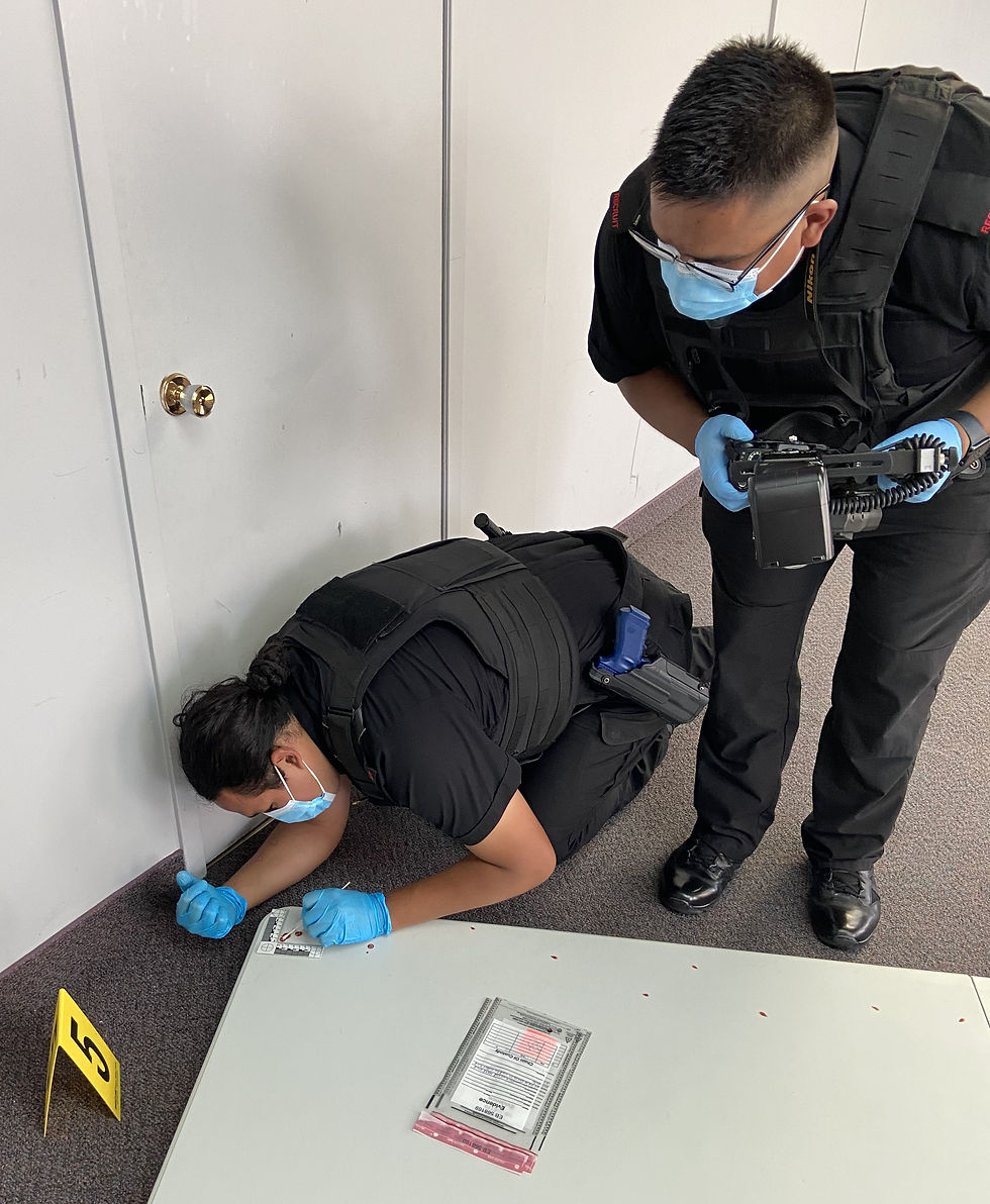 Learning to process crime scenes