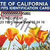 State_of_California_BIC_TPLRD.png