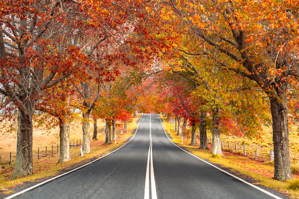 SC Lennon & Associates