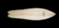 incut fish 7ft.jpeg