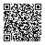 Sponsor Our Mission Trip.png