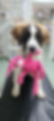 20211105_082714_resized.jpg
