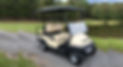 cart.jpg