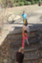 Carrying log