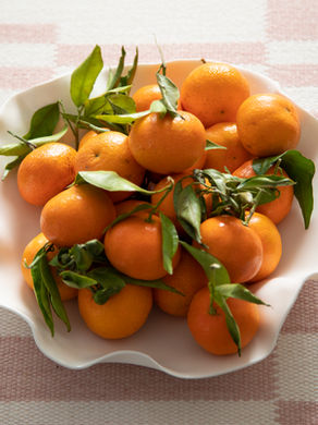 Osski Home x Joanna Ling