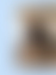 Collagerie x Neptune