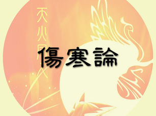 辨少陰病脈證并治法