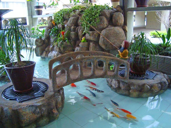 lago de carpas R$3.400,00