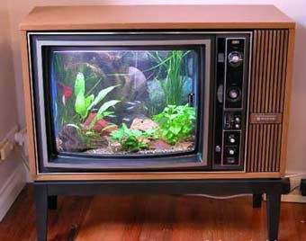 tv aquário R$100,00