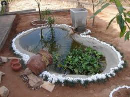 lago com vaso ornamental 1.000,00