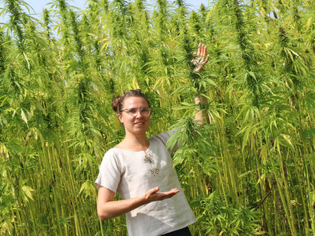 Chanvre - textile & son histoire