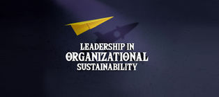 Leadership in Organizational Sustainability