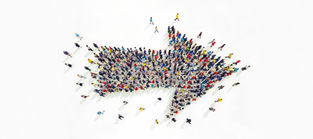 Creating an Aligned Organizational Management System
