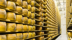 CSSC OSC Banners 01.jpg