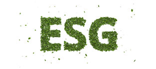 Understanding the Other E in your ESG Program