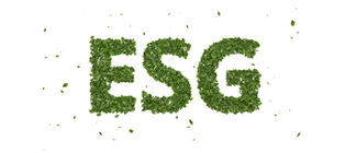 Understanding the Other E in your ESG Program