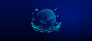 Principles of Organizational Sustainability