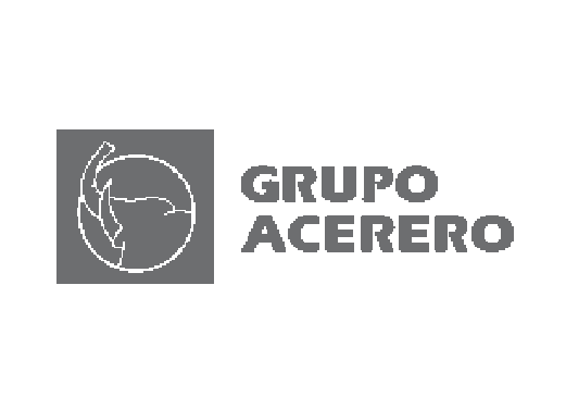 Grupo Acerero