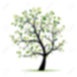 Femmes de la bible Genealogie Jesus