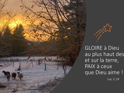 Noël : fêtons Jésus partout dans le monde