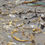 Thumbnail: Marjolein Marx - SOUL IV - Ibiza Sunset