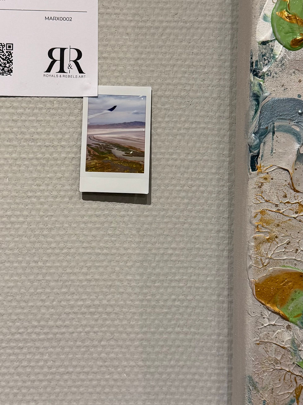 Thumbnail: Marjolein Marx - Saltbound Horizon – The MIND collection (Salt Lakes, Utah)