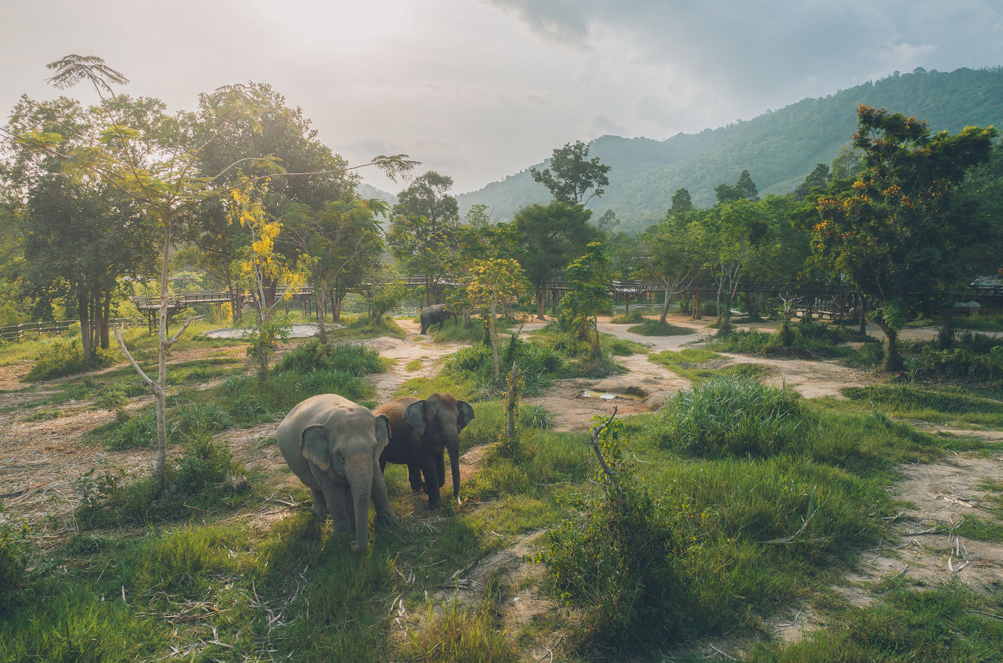 Photographer Nikonorov-93.jpg