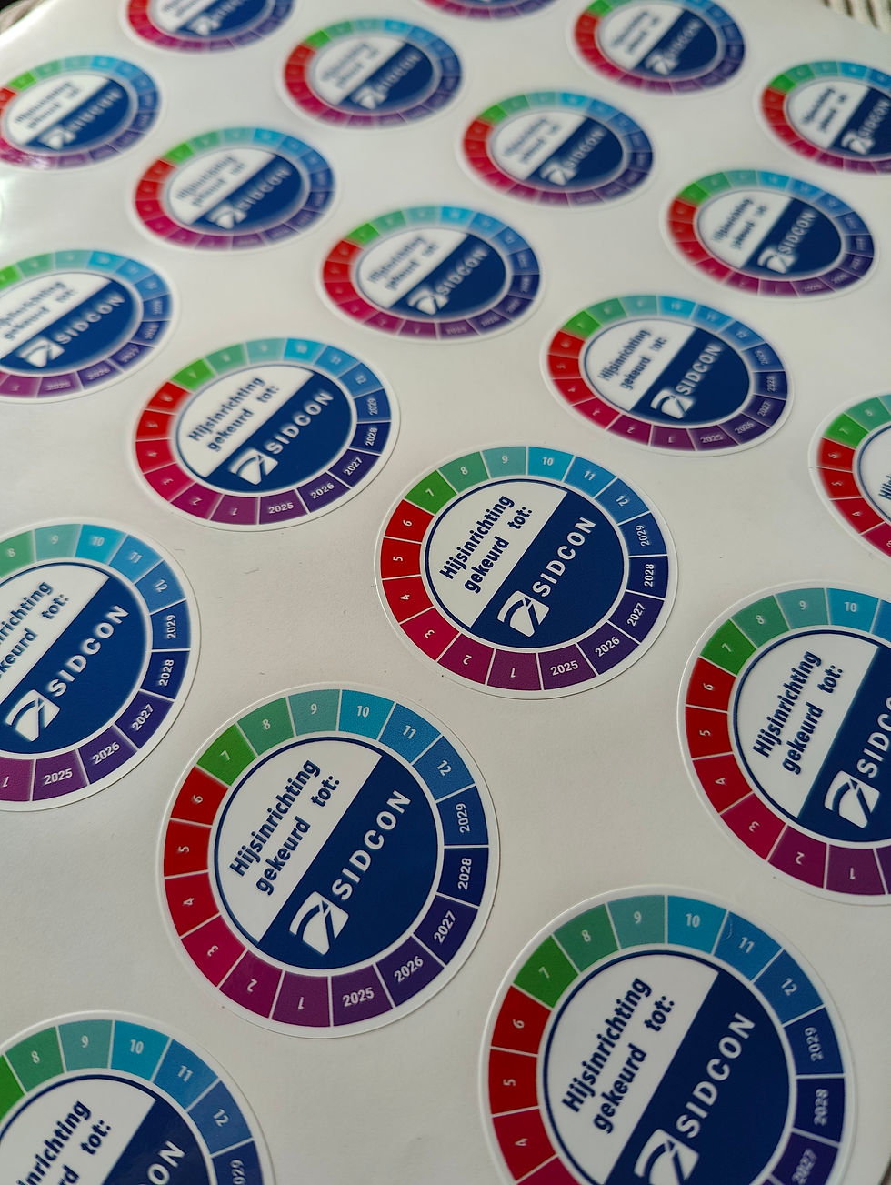 IMG20240930122753 (1).jpg