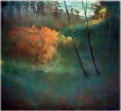 "The Orange Bush ll"