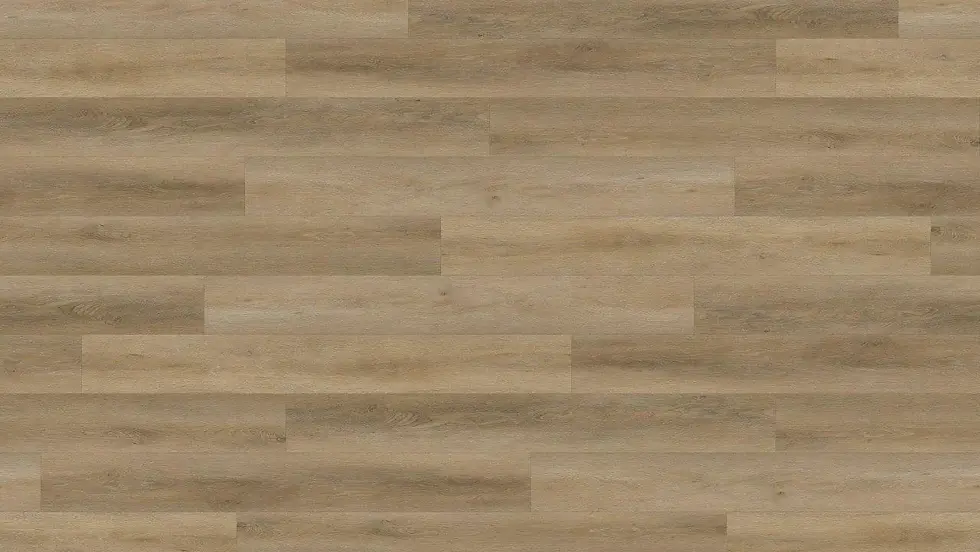 SPCP88132_2.webp